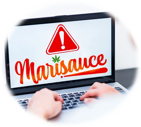 詐欺サイト! 詐欺サイト!